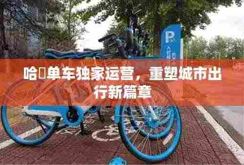 哈啰单车独家运营，重塑城市出行新篇章