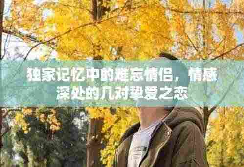 独家记忆中的难忘情侣,情感深处的几对挚爱之恋