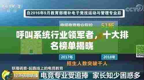 呼叫系统行业领军者,十大排名榜单揭晓