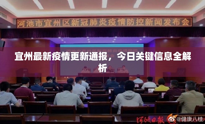 宜州最新疫情更新通报,今日关键信息全解析