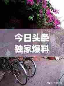 今日头条独家爆料,娇姐最新动态揭秘