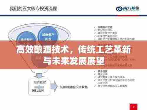 高效酿酒技术,传统工艺革新与未来发展展望