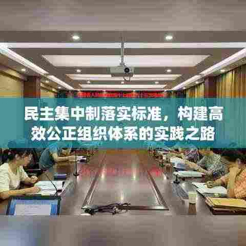 民主集中制落实标准，构建高效公正组织体系的实践之路