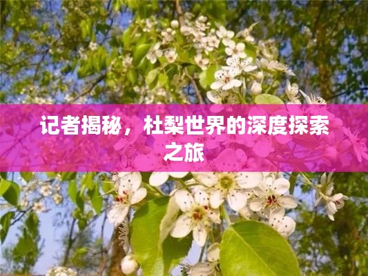 鸟云之阵 第3页