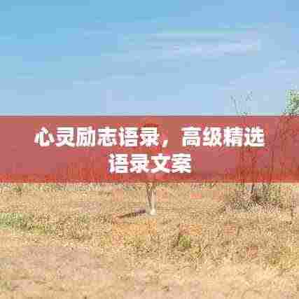 心灵励志语录,高级精选语录文案