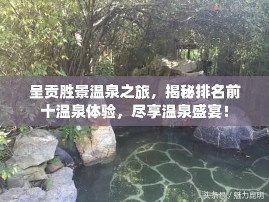 呈贡胜景温泉之旅,揭秘排名前十温泉体验,尽享温泉盛宴!