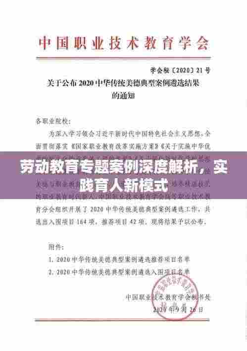 劳动教育专题案例深度解析,实践育人新模式
