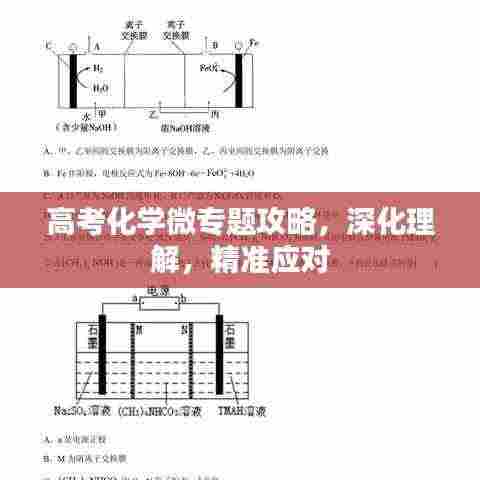 高考化学微专题攻略，深化理解，精准应对