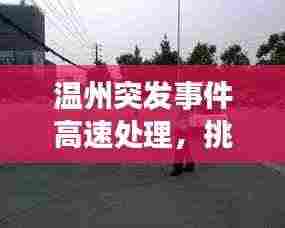 温州突发事件高速处理,挑战应对与安全保障