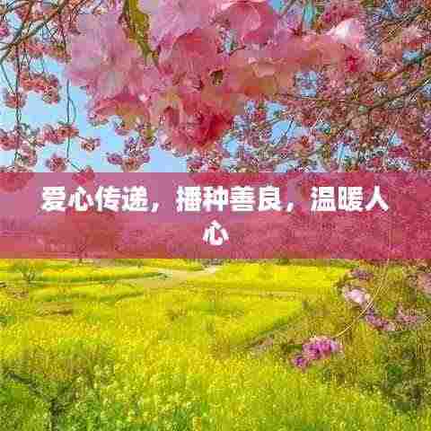 爱心传递,播种善良,温暖人心
