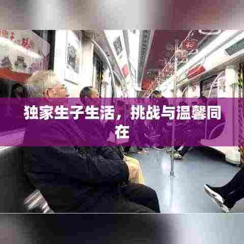 独家生子生活,挑战与温馨同在