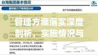 管理方案落实深度剖析,实施情况与成效探究