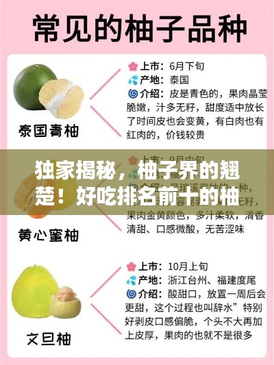 独家揭秘,柚子界的翘楚!好吃排名前十的柚子品种盘点
