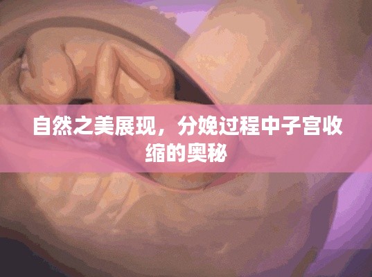 自然之美展现,分娩过程中子宫收缩的奥秘