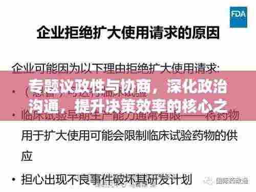专题议政性与协商,深化政治沟通,提升决策效率的核心之道